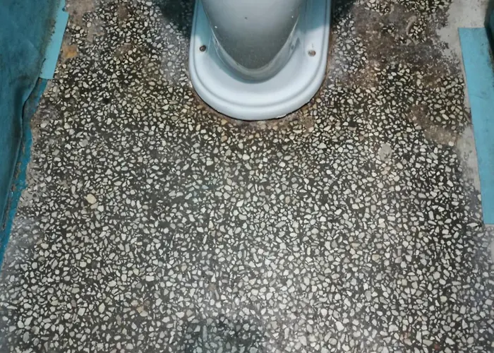 Amadeus 19 公寓 阳光海滩